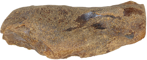20,50 g Gintaro grynuolis (1)