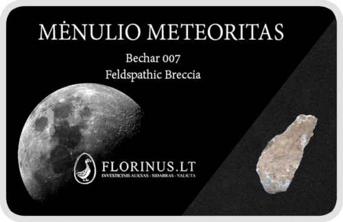 Lunar Meteorite (1)