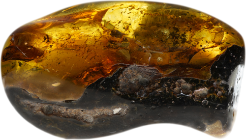 31,60 g Amber nugget (2)