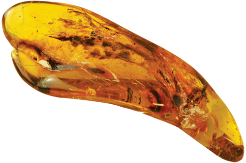 6,60 g Amber Nugget with inclusion (3)