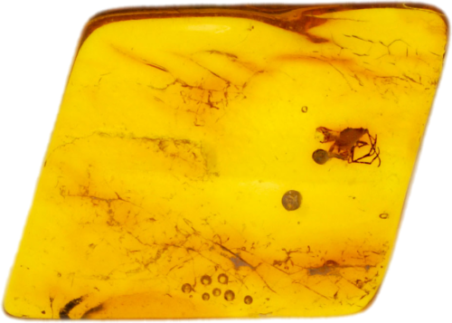 1,25 g Amber Nugget with inclusion (1)