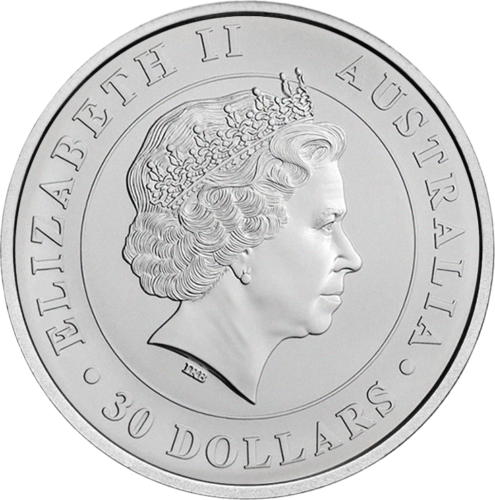 1 kg Koala 2014 Australija sidabrinė moneta (2)