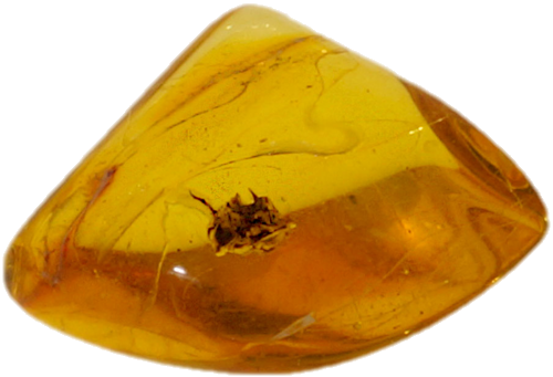 1,70 g Amber Nugget with inclusion (1)