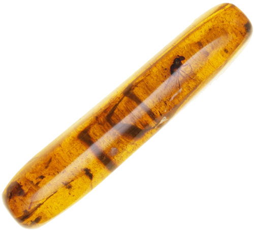 2,95 g Dzintara tīrradnis ar inkrustāciju (1)