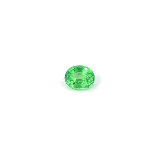 0.47 carat GREEN Oval Garnet (1)
