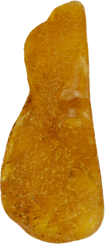 9,15 g Jūrinio Gintaro grynuolis (2)