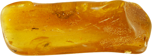 22,15 g Amber Nugget with fly inclusion (1)