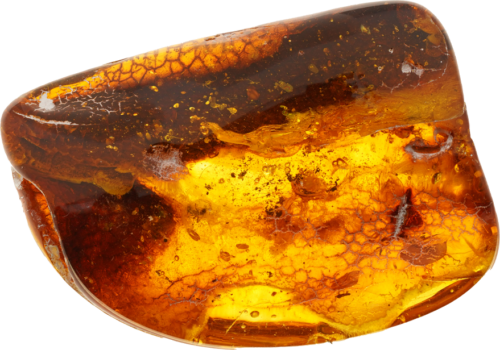 18,85 g Amber Nugget with inclusion (1)