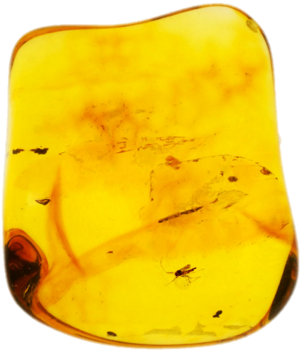 4,75 g Amber Nugget with inclusion (1)