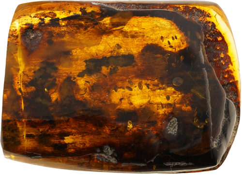 15,70 g Gintaro grynuolis (1)