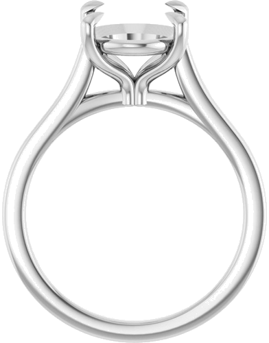 Sužadėtuvių Žiedas „Claw-Prong“ 14k white gold Oval 11mm x 9mm (2)