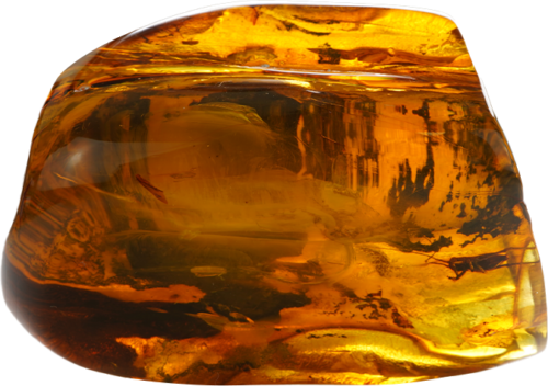 47,05 g Amber nugget with inclusion (2)