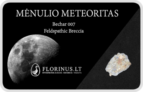 Lunar Meteorite (1)