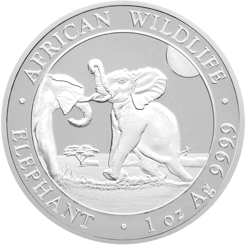 1 oz Слоны 2024 Сомали 100 шиллингов серебряная монета (1)