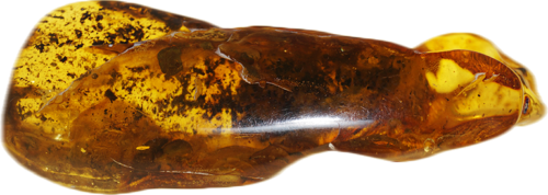 38,40 g Amber Nugget with bug inclusion (1)
