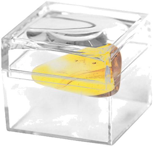 Самородок янтаря с инклюзом 2,85 г (2)