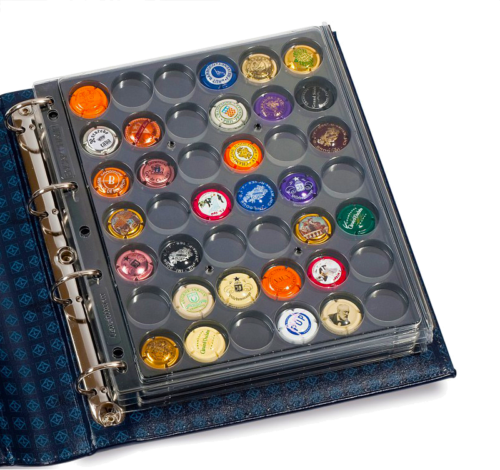 Листы для монет в капсулах Encap (2)