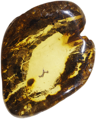 12,25 g Gintaro grynuolis (1)