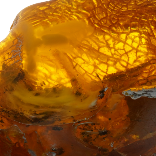 38,45 g Amber Nugget with inclusion (2)