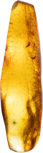 3,85 g Amber nugget with inclusion (1)