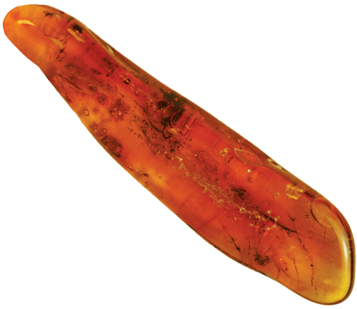 2,45 g Gintaro grynuolis su inkliuzu (1)