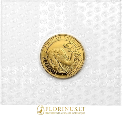 1/10 oz Drambliai, Somalis, auksinė moneta, 2018 (3)