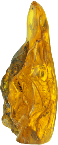 45.30 g Amber nugget with inclusion (1)