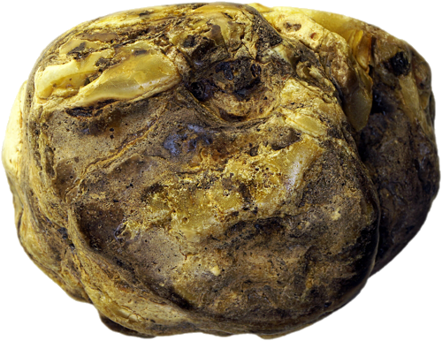 55,50 g Gintaro grynuolis (2)