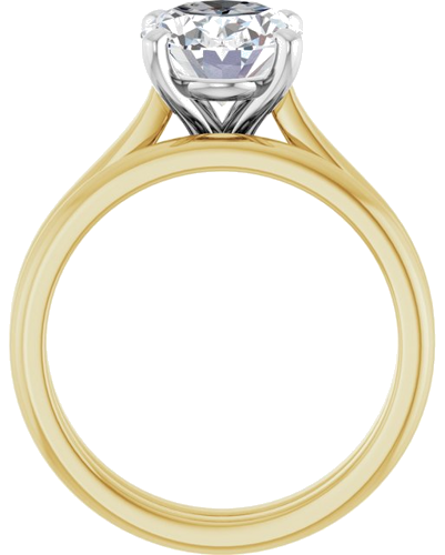 Sužadėtuvių Žiedas 14k yellow/white gold Oval 10mm x 8mm (7)