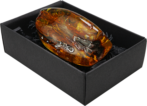 58,95 g Amber nugget with tree branch inclusion (4)