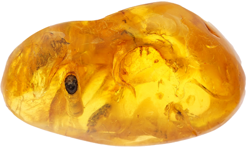 21,60 g Amber Nugget with inclusion (3)