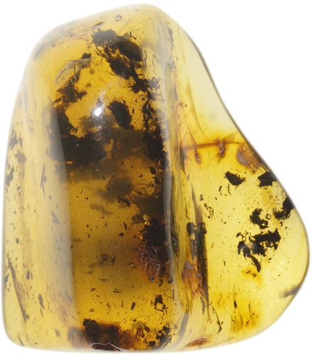 7,30 g Amber nugget (1)