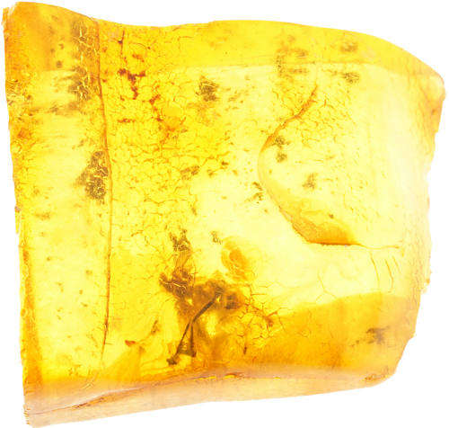 3,80 g Gintaro grynuolis su inkliuzu (2)