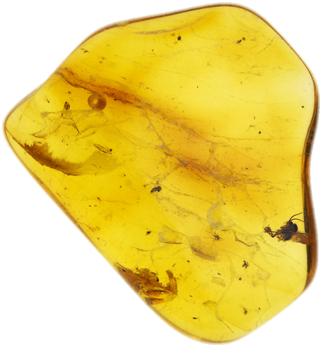 1,65 g Amber Nugget with inclusion (1)