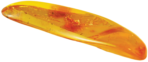 6,25 g Gintaro grynuolis su inkliuzu (3)