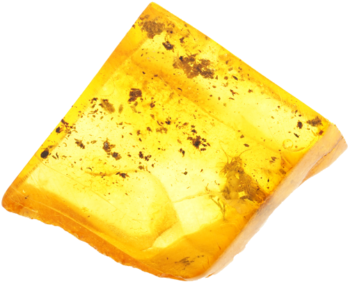 3,80 g Gintaro grynuolis su inkliuzu (1)