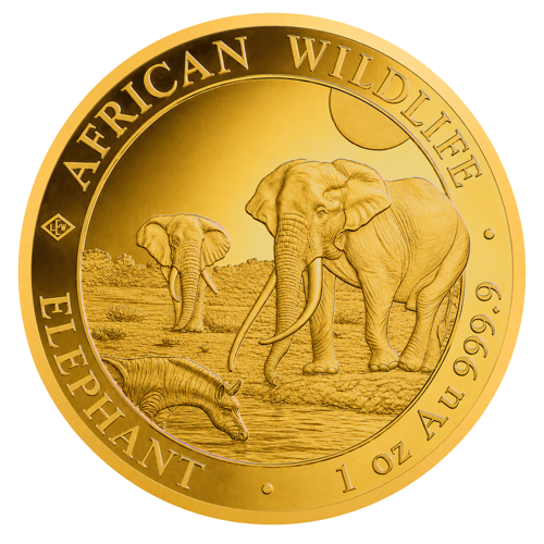 1 oz Dramblys 2026 Somalis auksinė moneta (1)