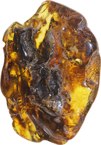 12,30 g Gintaro grynuolis (2)