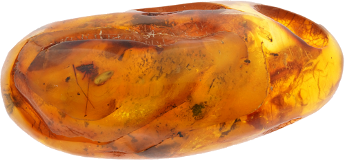 21,40 g Gintaro grynuolis su inkliuzais (1)