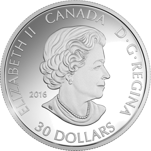 2016 Canada Goose silver proof coin in box (2)