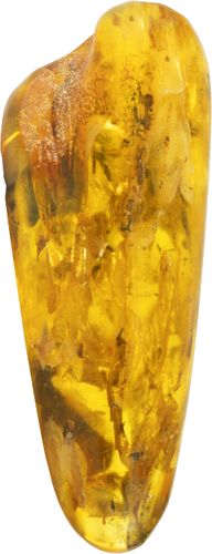 20.65 g Amber nugget with inclusion (4)