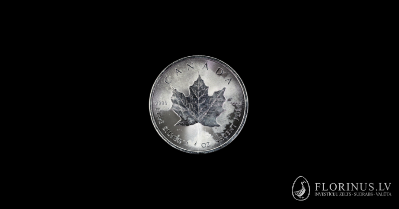 balti plankumi uz Kanādas kļavas lapas 