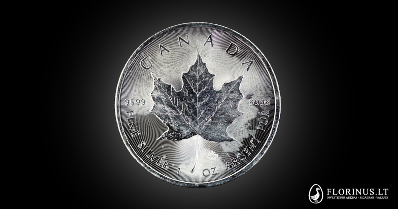 baltos dėmės ant Kanados klevo lapo 